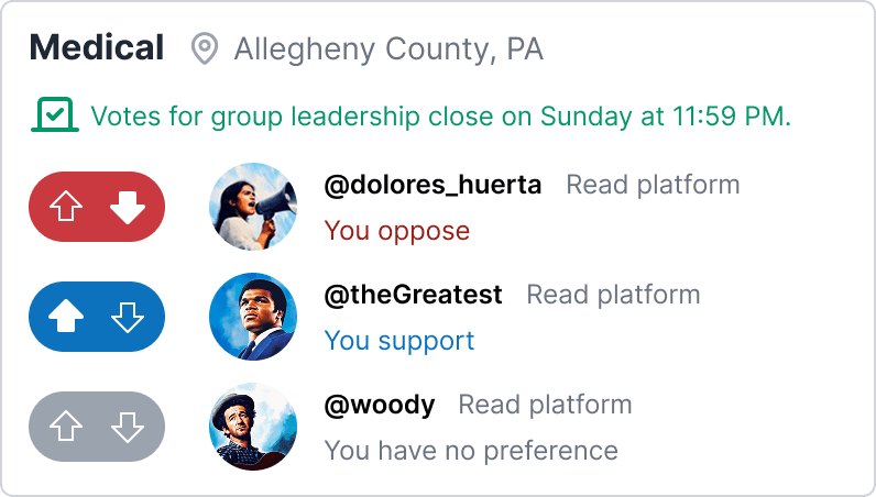 Example UI showing a voting system where users elect group leaders
